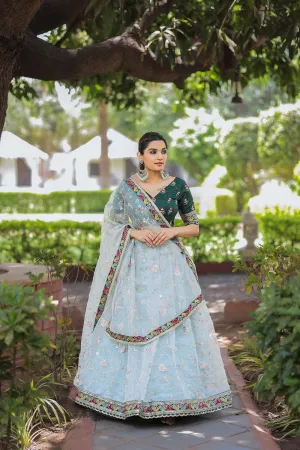 Beautiful Designer Organza Lehenga Choli Design 1746